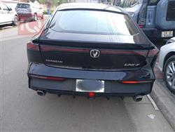 شانجان يوني في